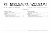 Provincia de Ourense - dpou.depourense.esdpou.depourense.es/upload/tablon/doc1-241.pdf · dores pertencentes á central sindical CC.OO e, ratificado o día 19 de decembro de 2008,