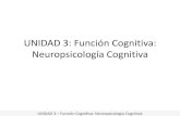 UNIDAD 3: Función Cognitiva: Neuropsicología Cognitiva · fortalezas y debilidades en las funciones cognitivas y la explicación de la conducta de un paciente. (Goldstein y McNeil,