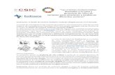 Las enzimas evolucionadas: diseñadas a la carta y ......start-up en el sector salud de la Comunidad de Madrid; el premio especial de apoyo a la incubación y el accésit para gastos