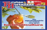 no habrá una gran hortifruticultura · exportar papaya a EEUU Del más allá y del más acá Regional Sin agroindustria no habrá una gran hortifruticultura Entrevista Los Santanderes