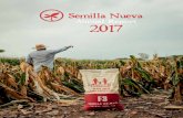 Annual Report 2017 · 2018. 7. 10. · Semilla Nueva Annual Report 2017 was Semilla Nueva’s most successful year yet. Through our programs, we reached more in-dividuals than ever