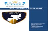 Plan Operativo Anual 2019 - Dirección General de ...provial.civ.gob.gt/lai/poa 2019.pdf · reforma el Artículo 3, mediante el Acuerdo Ministerial No. 805-2009, de fecha 10 de noviembre