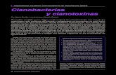 Cianobacterias y cianotoxinas - Uruguay Ciencia · 3. Una recopilación de las especies de cianobacterias más comunes que forman floraciones en el país, su distribución, las cianotoxinas