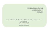EMPLEO Y PRODUCTIVIDAD AGROPECUARIA EN · Empleo y Productividad Laboral en el Sector Agropecuario Colombiano I. Empleo, Productividad e Ingresos Agropecuarios II. Tendencias de la