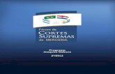 Programa Joaquim Nabuco 2º/2012 - STF · Brasil y del Supremo Tribunal Federal (STF). ... y la Justicia especializada (laboral, electoral y militar) y la labor de armonización del