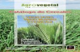 Catálogo de Cereales · cereales adaptadas a las condiciones de cultivo de Andalucía con una combinación óptima de produc-tividad, calidad y resistencia a la sequía y a las en-fermedades.