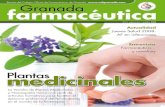medicinales - granadafarmaceutica.com farmaceutica 15.pdf · Nº15 • septiembre / octubre 2008 Granada Farmacéutica 3 EDITORIAL D. MANUEL FUENTES Presidente del Colegio Oficial