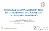 Presentación de PowerPointintranet.icovv.com/cursos/an1w_dppe_522l_tsmd_kjcs_star/2019-06-… · •Objetivo y fácil de usar para evaluar el estado de los animales utilizados en
