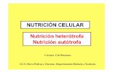 NUTRICIÓN CELULAR Nutrición heterótrofa Nutrición autótrofa · No metabolismo celular existen reaccións de construcción ou anabólicas e de destrucción ou catabólicas . O