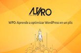 WPO: Aprende a optimizar WordPress en un plis · 2020. 1. 28. · CONSULTOR WORDPRESS y rendimiento web. @alvarowpo @RaiolaNetwors ¿Qué es el WPO y ... múltiples plugins para implementarlo