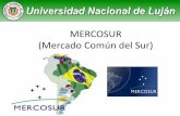MERCOSUR (Mercado Común del Sur)doccdn.simplesite.com/d/a8/e1/284852682200768936/13994943-ba… · En el Acta de Buenos Aires firmada el 29 de noviembre de 1990 –se estableció