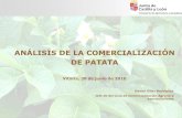 ANÁLISIS DE LA COMERCIALIZACIÓN DE PATATA · también suministran las patatas a granel y sin lavar. Protocolos de calidad a nivel productor. Nivel muy alto de autoabastecimiento.