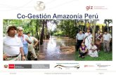 Co-Gestión Amazonía Perú · 02/10/2015 Proyecto Co-Gestión Amazonía Perú Página 5 La Co-Gestión para la conservación y el uso sostenible de la biodiversidad es más efectiva