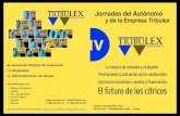 IV - Tribulex · Durante la Jornada, al igual que en las ediciones anteriores se hará entrega de los Diplomas a las Empresas Decanas con Tribulex, en agradecimiento a la confianza