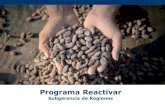 Programa Reactivar · 2018. 3. 14. · Programa Reactivar Sumatoria de proyectos productivos que promueven el fortalecimiento de las comunidades y los ecosistemas para recuperarse