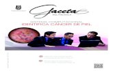 SISTEMA COMPUTACIONAL IDENTIFICA CÁNCER DE PIEL · 2019. 10. 2. · Número 262 GACETA POLITÉCNICA 3 Como una contribución en la detección temprana de cáncer de piel, estudiantes