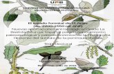 El estado forestal de El Argar (ca. 2200-1550 cal ANE) Nuevas … · 2015. 9. 29. · cf. Daphne gnidium/ Thymelaea hirsuta 2 0,03 2 0,02 Vitaceae cf. Vitis vinifera var. sp. 1 0,02
