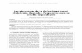 Las atarazanas de la Salawbinya nazarí (Salobreña, Granada ... · 165 ANTIQVITAS - 2016 - N.º 28 (pp. 165-173) ISSN: 1133-6609 - M.H.M. Priego de CórdobaLas atarazanas de la Saabiya