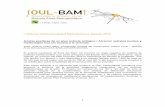 Aristas positivas de un plan ambiguo PDF - OUL-BAMoulbam.com.ar/informes_im/OUL-BAM informe IM 08_2012.pdf · vivienda con sectores vulnerables” (Tiempo Argentino y La Nación,