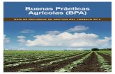 Buenas rcticas Agrcolas BA - GAP Connections · 2017. 6. 13. · Buenas Prácticas Agrícolas (BPA). Guía de recursos de gestión del trabajo | 1 Este material ha sido compilado