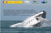 CONTENIDO - cpps.dyndns.infocpps.dyndns.info/.../mayo/taller_corredores/... · 3) Identificar las amenazas para los cetáceos migratorios y el vínculo con actividades socioeconómicas