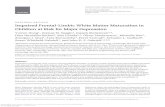 Impaired Frontal-Limbic White Matter Maturation in ... · Longitudinal research ﬁnds that children with at least 1 depressed parent have about a 3-fold greater risk for developing