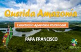 Presentación de PowerPoint...Introducción La querida Amazonía se muestra ante el mundo con todo su esplendor, su drama, su misterio. Dios nos regaló la gracia de tenerla especialmente