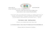 TESIS DE GRADO - dspace.espoch.edu.ecdspace.espoch.edu.ec/bitstream/123456789/9802/1/84T00304.pdf · certificaciÓn el tribunal de tesis certifican que: el trabajo de investigación