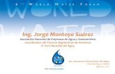 Ing. Jorge Montoya Suárez - Red del Agua UNAM · organización del 6° Foro, integrado por representantes del Gobierno de Francia y Gobernadores del WWC. • El lanzamiento oficial