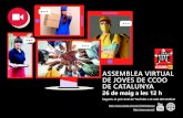ASSEMBLEA VIRTUAL DE JOVES DE CCOO DE CATALUNYA · 26 de maig a les 12 h Segueix-la pel canal de YouTube o el web del sindicat ASSEMBLEA VIRTUAL DE JOVES DE CCOO DE CATALUNYA
