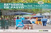 ESTUDIOS DEL MERCADO DE TRABAJO DE PASTOcedre.udenar.edu.co/.../2019/03/BOLETIN-DE-MERCADO.pdf · 2019. 3. 14. · festividad del Carnaval de Negros y Blancos de Pasto, un estudio