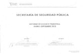 SECRETARÍA DE SEGURIDAD PÚBLICA · 2011. 4. 13. · secretarÍa de seguridad pÚblica informe de avance trimestral enero-septiembre 2010 autorizÓ / c. maptjá fernando lorÍa de