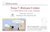 Tema 7. Biología Celulardpbiologia.weebly.com/uploads/2/1/5/5/21553524/gtp_t7...Tema 7. Biología Celular 7.1 Introducción a las células Germán Tenorio Biología NS-Diploma BI