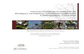 Caracterització de la població de Bradypus variegatus i Choloepus … · 2015. 3. 10. · També de forma molt especial a tots els guies del parc pel seu interès en l’estudi