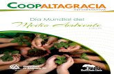 Día Mundial del Medio Ambiente3 Revista Informativa • Junio 2019 Donación Actividad Deportiva Pastoral Juvenil Caminata Por El Día Mundial del Medio Ambiente Con la donación