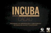 presentacion incuba cacao final · 2020. 3. 16. · INCUBA CACAO es un programa personalizado porque nos vamos adaptando a tus necesidades. Fase 1:Deﬁnir que quieres sembrar. Auditoría