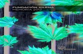 FUNDACIÓN XILEMA MEMORIA 2017Título Fundación Xilema Memoria 2017 Edita Fundación Xilema C/Río Arga 32, bajo 31014 - Pamplona (Navarra) T: 948 249 900 Depósito Legal: DL NA 1604-2014