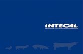 INTECAL fue fundada el año 1983, tres años antes desistemas de escalde vertical de porcino, los cuchillos circulares, los cuchillos para el corte del recto de porcino y los equipos