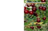 Revista da Escola Superior Agrária de C. BrancoN. 22, ANO ...€¦ · e Agro-Florestais sobre a Evolução da Paisagem e no Desenvolvimento Rural de Monforte da Beira e Malpica do