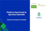 Plataforma Experimental de Agricultura Sustentable · 2020. 7. 17. · Antecedentes de la Plataforma •Convenio AARFS A.C. –MasAgro CIMMYT •Seis Plataformas en Sinaloa •Siete