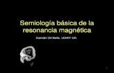Semiología básica de la resonancia magnética...Siderosis renal, por hemoglobinuria paroxística nocturna 74 T1, Fase opuesta T1, en Fase Hematopoyesis extramedular en el bazo Elsayes