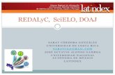 REDALyC, SciELO, DOAJ - Universidad de Costa Ricarevistas.ucr.ac.cr/docs/2013_indices_3.pdf · 2018. 11. 21. · REDALyC Las postulaciones al índice son examinadas 2 veces al año;