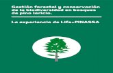 Gestión forestal y conservación de la biodiversidad en bosques de … · 2018. 8. 1. · 2.3 Los distintos tipos de bosques de pino laricio El pino laricio puede convivir con otras