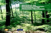 MODELO DE MANEJO FORESTAL SOSTENIBLE EN PREDIOS … · 2017. 5. 24. · Forestal Consolidado, según ámbitos de planificación. ACTIVIDAD ÁMBITO Organización Grupo de propietarios
