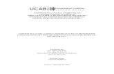 UNIVERSIDAD CATÓLICA ANDRÉS BELLO VICE ...biblioteca2.ucab.edu.ve/anexos/biblioteca/marc/texto/AAT...Mezcla de Mercadeo y las Relaciones con los Clientes 2.3.6. Canales de Marketing