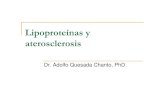 Lipoproteínas y aterosclerosis...ﻋLas lipoproteínas son complejos lipoproteicos mediante los cuales son transportados a través del plasma ﻋel colesterol, ﻋésteres de colesterol,