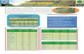 DIRECCION INFORMACION AGRARIA SINTESIS AGRARIAMINAGRI En el mes de febrero del 2015, Producción Agropecuaria se incrementó en 2,8 % en relación con similar mes del año 2014 como