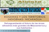 BOSAWAS Y LOS TERRITORIOS INDIGENAS - NICARAGUAPérdida de propiedad ancestral indígena 2. Pérdida de biodiversidad 3. Pérdida de masa forestal 4. Pérdida caudal de los ríos 5.