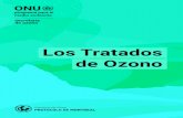 protección de la capa de ozono y para el protocolo de...7 Preámbulo Preámbulo Las Partes en el presente Convenio, Conscientes del impacto potencialmente nocivo de la modificación