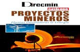 CATÁLOGO - Direcmin · 2020. 5. 21. · Este Catálogo es una reedición de un impreso similar que fue publicado en ocasión del II Congreso de Proyectos Mineros, Energías y Plantas